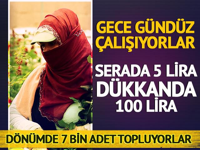 Serada 5 lira dükkanda 100 lira! Gece gündüz çalışıyorlar