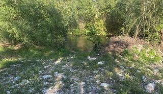 Balık avlamaya çalışırken canından oldu