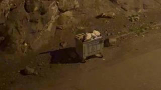 Kurt sürüsü ilçe merkezine indi