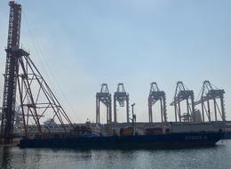 2 bin tondan fazla! Hepsi geldiği ülkelere geri gönderildi... Virüslü çıktı