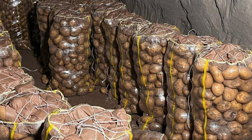 Tüm sofraların vazgeçilmezi... Aman dikkat: 2 bin tondan fazlası virüslü çıktı! 