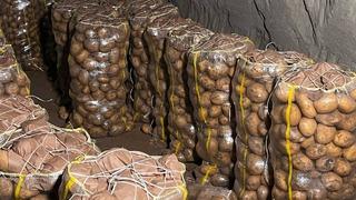 Tüm sofraların vazgeçilmezi... Aman dikkat: 2 bin tondan fazlası virüslü çıktı! 