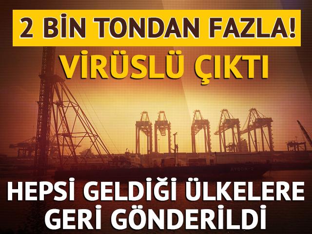 2 bin tondan fazla! Hepsi geldiği ülkelere geri gönderildi, virüslü çıktı