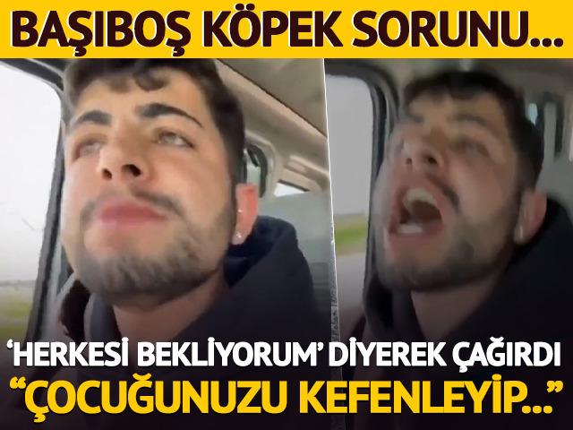Başıboş köpek sorunu... Skandal söylem: "Çocuğunuzu kefenleyip kucağınıza alın"