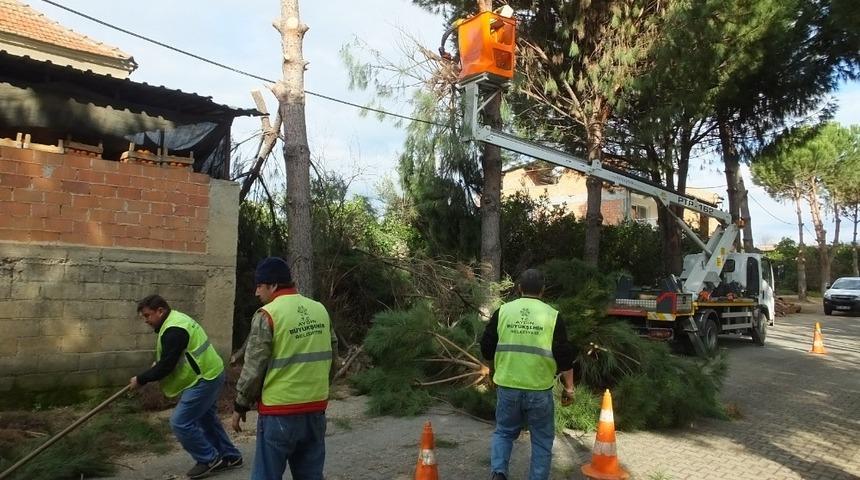 B&uuml;y&uuml;kşehir ekipleri bahar bakımlarına devam ediyorş