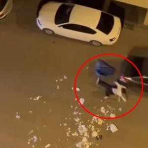 Adeta çıldırdı! Çöpleri yola döküp geçen araçlara saldırdı