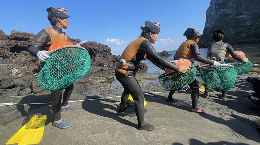80 yaş üstü kadınlar balıkçılıkla geçiniyor: Güney Kore’nin ‘deniz kadınları’ Haenyeo’nun sırrı nedir? Genetik mi, alışkanlık mı? 