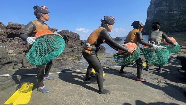 80 yaş üstü kadınlar balıkçılıkla geçiniyor: Güney Kore’nin ‘deniz kadınları’ Haenyeo’nun sırrı nedir? Genetik mi, alışkanlık mı? 
