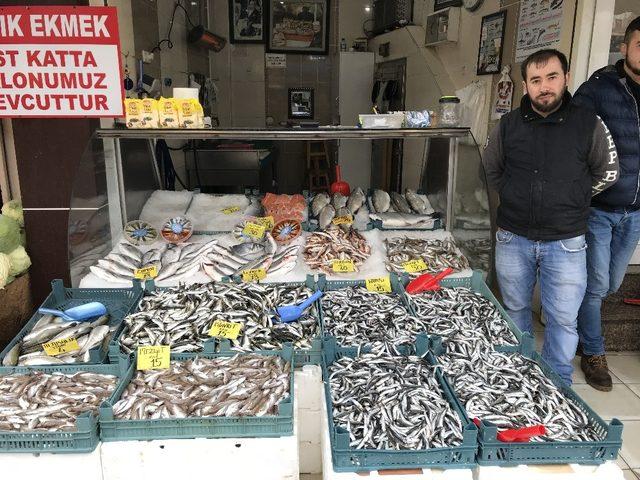 Batı Karadenizde balık fiyatları düştü