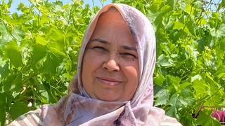 Masraf yok talep çok para da peşin! Dubai'den Avrupa'ya kadar gönderiyorlar, 200 liraya kadar alıcısı var...