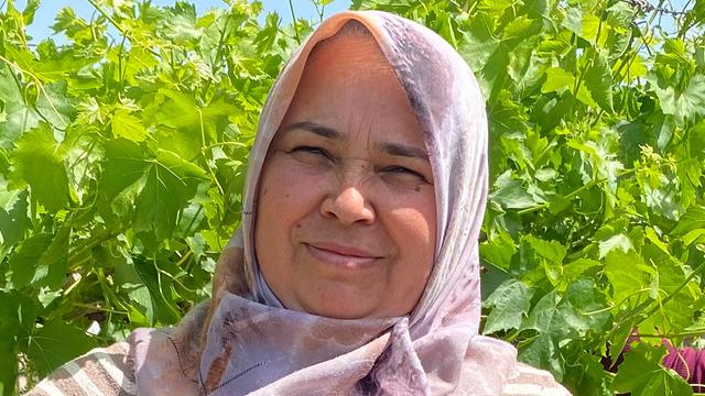 Masraf yok talep çok para da peşin! Dubai'den Avrupa'ya kadar gönderiyorlar, 200 liraya kadar alıcısı var...