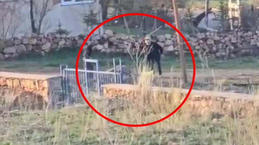 Eşeğe sopalı eziyet kamerada