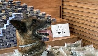 TIR'ın dorsesinde 101 kilo uyuşturucu ele geçirildi; 4 gözaltı