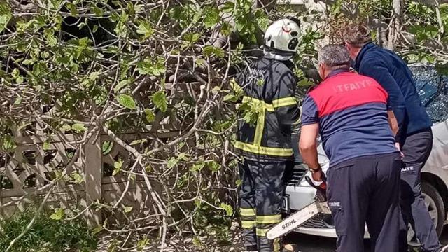 Sinop'ta incir ağacı otomobilin üstüne devrildi