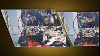 Ahmet Minguzzi davasında yeni görüntü! Sanıkların bıçağı aldığı anlar ortaya çıktı