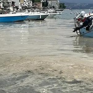 Marmara Denizi'nde Bursa kıyılarında müsilaj görüldü