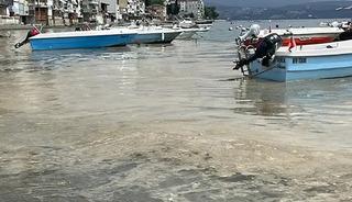 Marmara Denizi'nde Bursa kıyılarında müsilaj görüldü