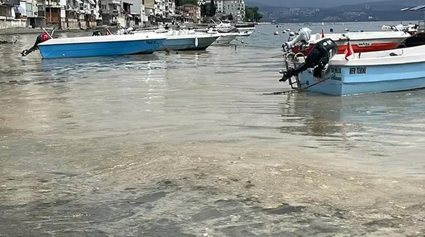 Marmara Denizi'nde Bursa kıyılarında müsilaj görüldü