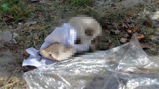 Yer: Adana! Çöp kutusundan çocuk kafatası çıktı! Görenler dehşete düştü...