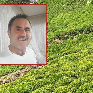Artvin'de Kafkas engereği kabusu: Hastane hastane panzehir aradılar!
