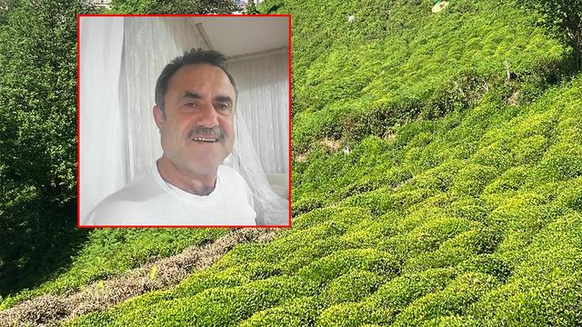 Artvin'de Kafkas engereği kabusu: Hastane hastane panzehir aradılar!