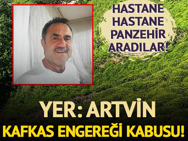 Artvin'de Kafkas engereği kabusu: Hastane hastane panzehir aradılar!
