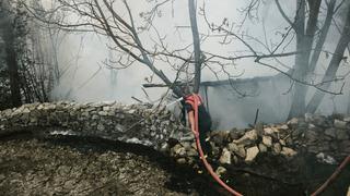 Kütahya'da kümes yangını: 100 tavuk yanarak öldü!