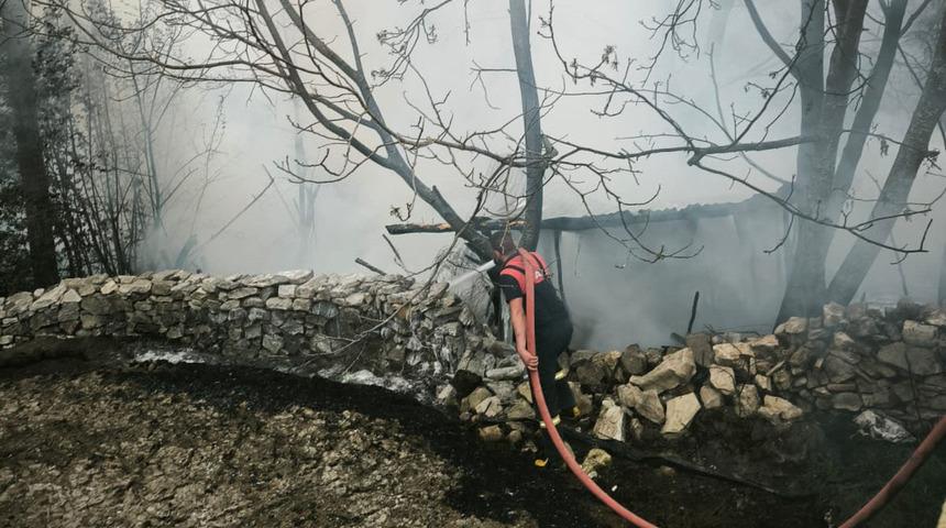 Kütahya'da kümes yangını: 100 tavuk yanarak öldü!