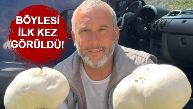 Yürüyüş yaparken buldu, böylesini ilk kez gördü! Bir tanesi 2.5 kilo...