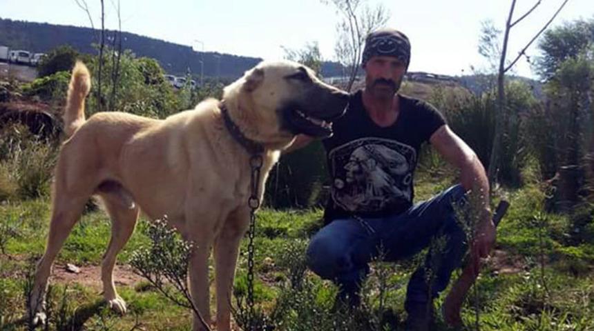 İstanbul'da 'istismar çiftliği'