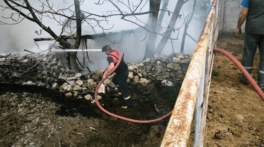 Domaniç’te çıkan yangında 100 tavuk telef oldu