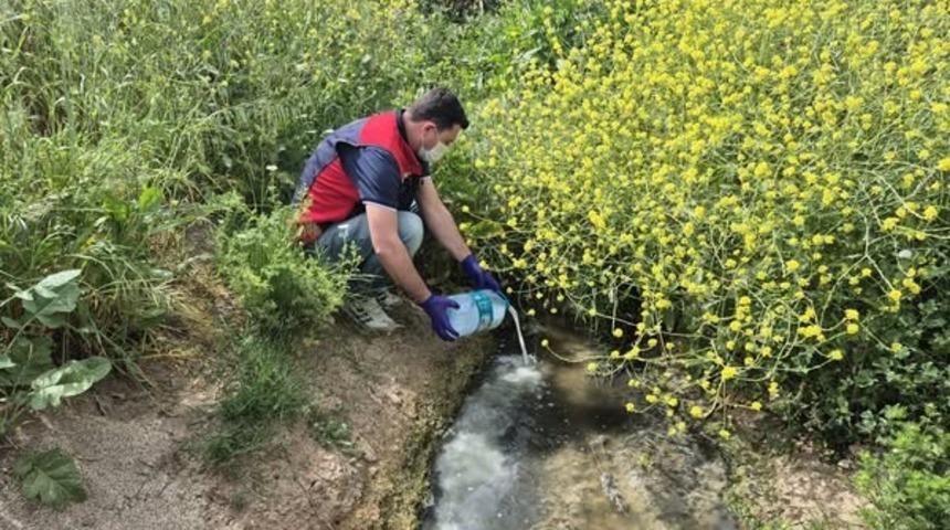 Çanakkale’de çeltik ekim alanlarında sivrisinek mücadelesi başladı