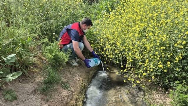 Çanakkale’de çeltik ekim alanlarında sivrisinek mücadelesi başladı