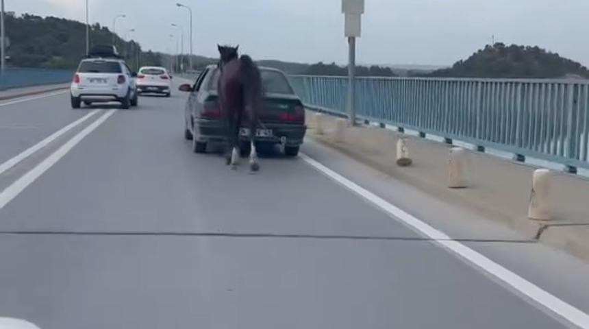 Ata eziyete 2 tutuklama