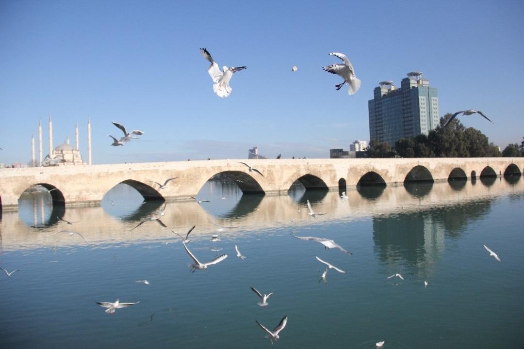 Martıların ekmek savaşı kartpostallık g&ouml;r&uuml;nt&uuml;ler oluşturdu