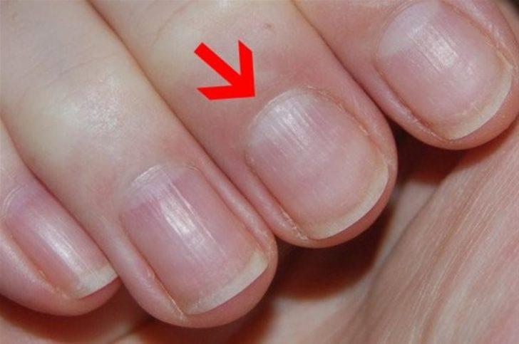 Tuhaf ama ilginç bilgiler G5