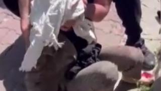 Beşiktaş'ta dehşet! İş görüşmesine gitmek için evden çıkan kadına, boks hocasından bıçaklı ve yumruklu saldırı