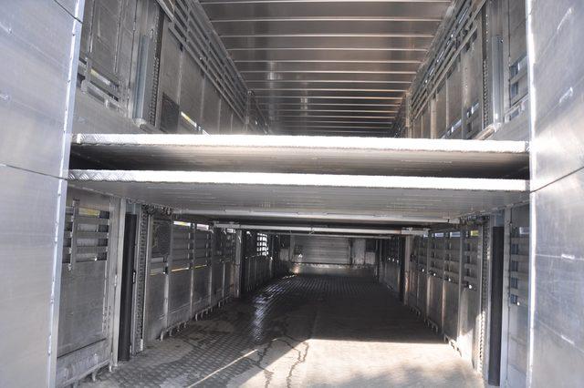 &Uuml;&ccedil; katlı canlı hayvan taşıma aracı yaptılar 1