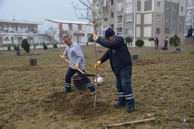 Şehzadeler’de yeşil alanlar 4 yılda 2 kattan fazla arttı