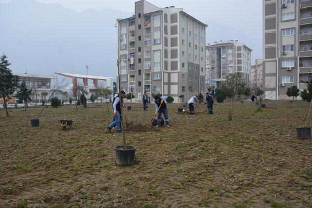 Şehzadeler’de yeşil alanlar 4 yılda 2 kattan fazla arttı