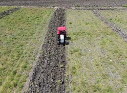 Tarımda genel sayım sonuçları gelecek yıl açıklanacak