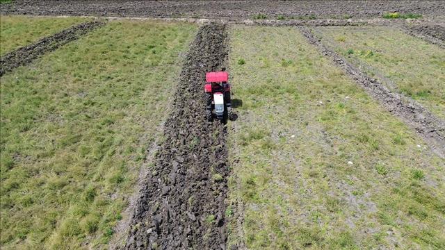 Tarımda genel sayım sonuçları gelecek yıl açıklanacak