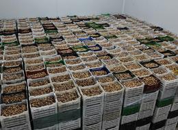 En çok Amerikalılar talep etti! Yüzde 28 artış