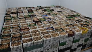 En çok Amerikalılar talep etti! Yüzde 28 artış