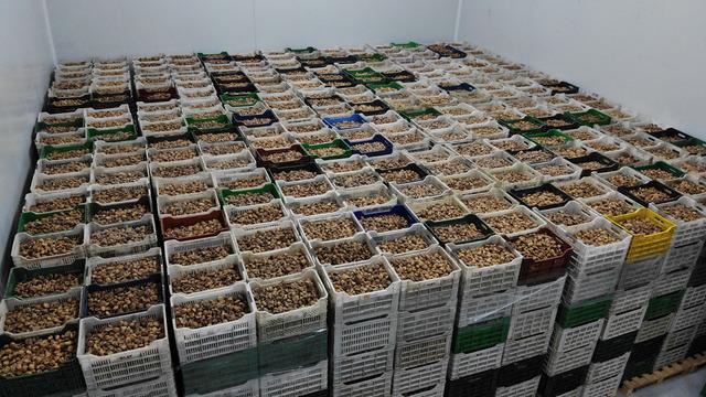 En çok Amerikalılar talep etti! Yüzde 28 artış