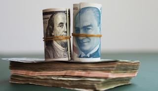 'Portekiz'de 6 bin dolar, Brezilya'da 5 bin dolar, Türkiye'de 30 bin dolar'