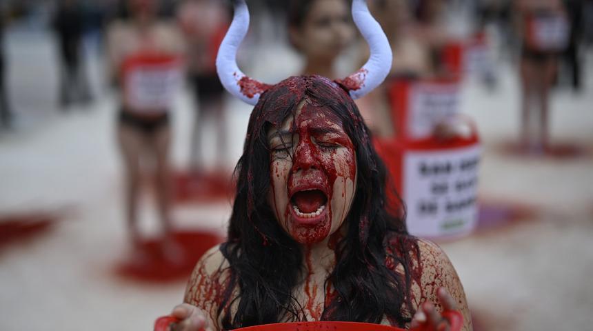 İspanya'da hayvan hakları savunucuları boğa güreşlerinin yasaklanması için eylem yaptı