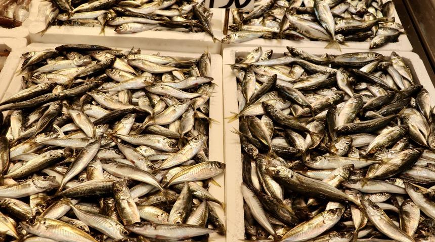 Trabzon'da balıkçı tezgahlarında çeşitlilik sürüyor