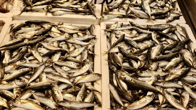 Trabzon'da balıkçı tezgahlarında çeşitlilik sürüyor