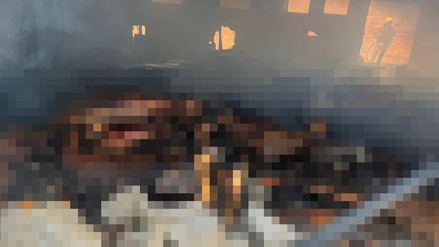 Balıkesir'de ağıl yangını! Elektrik tesisatından alevler yükselince 42 küçükbaş telef oldu